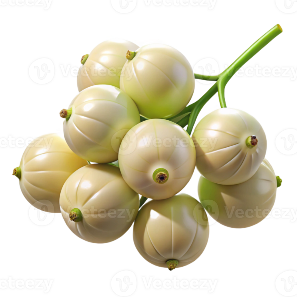 Creamy White Berries 3D Illustration png