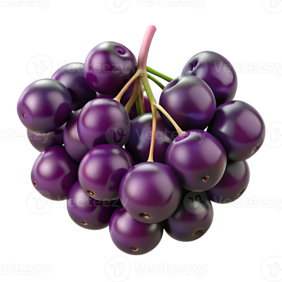 3D Render of Dark Purple Berries png