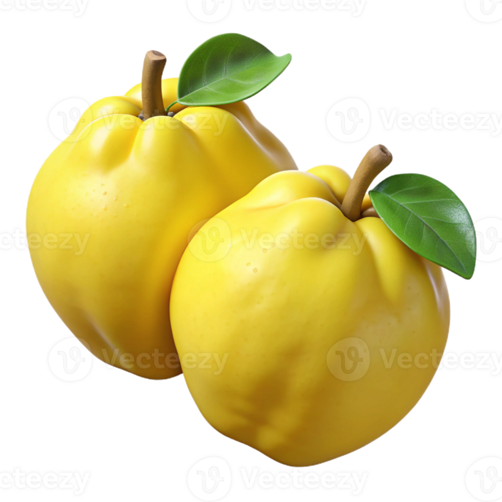 3D Render of Two Quinces with Leaves png
