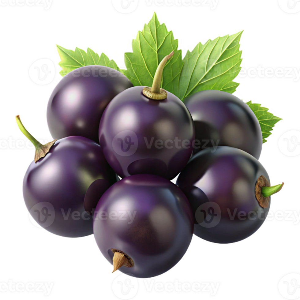 3D Render of Blackcurrants with Leaves png