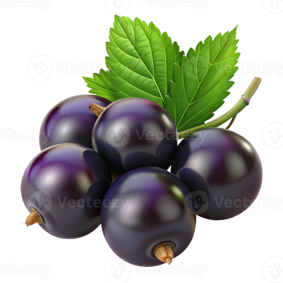 3D Render Blackcurrants with Leaves png