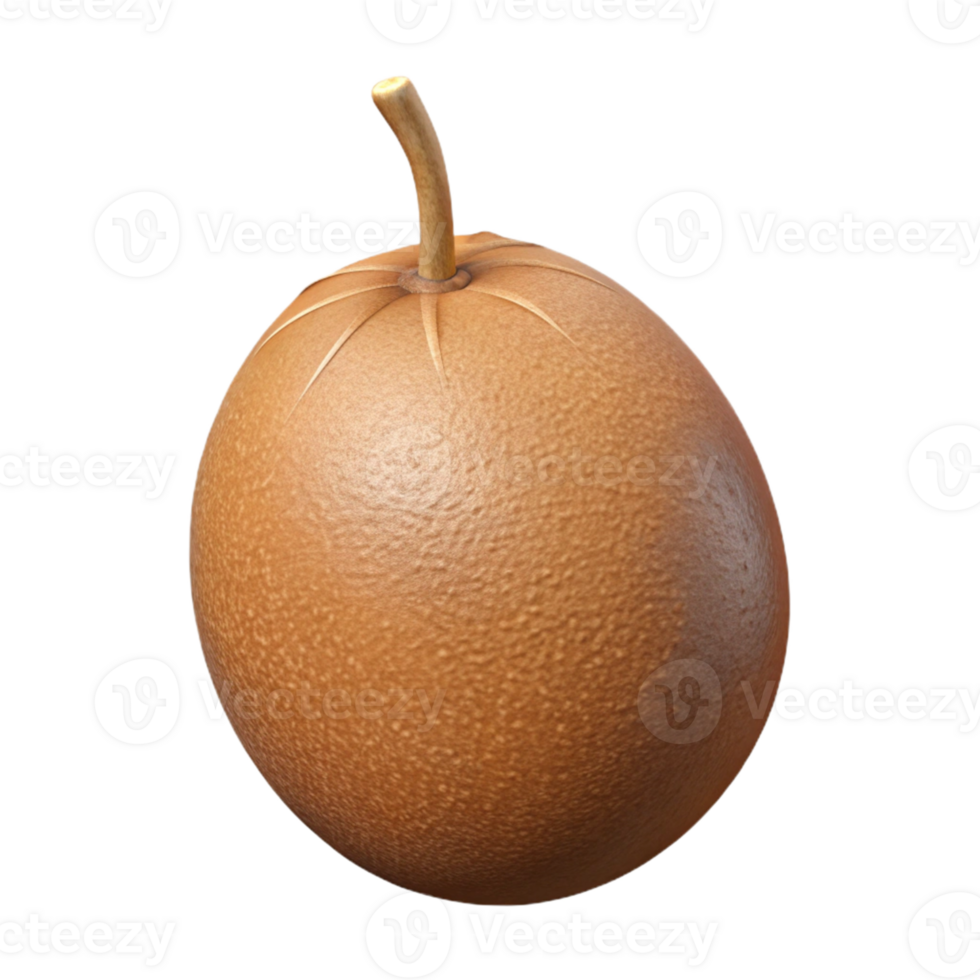 3D Render of a Brown Fruit png