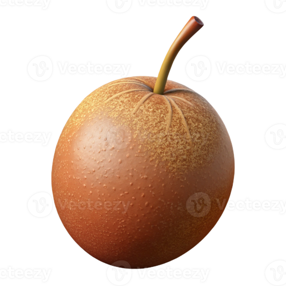 3D Render of a Brown Fruit png