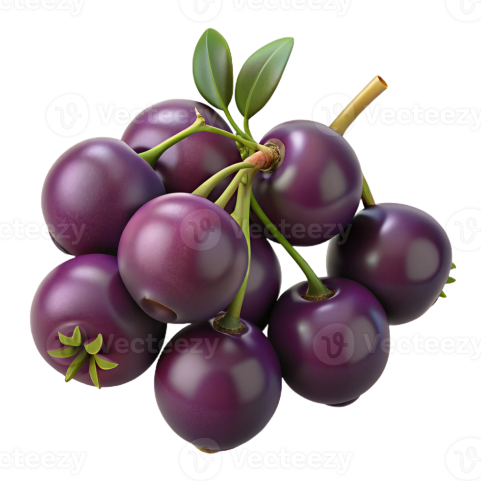 3D Render of a Bunch of Dark Purple Berries png