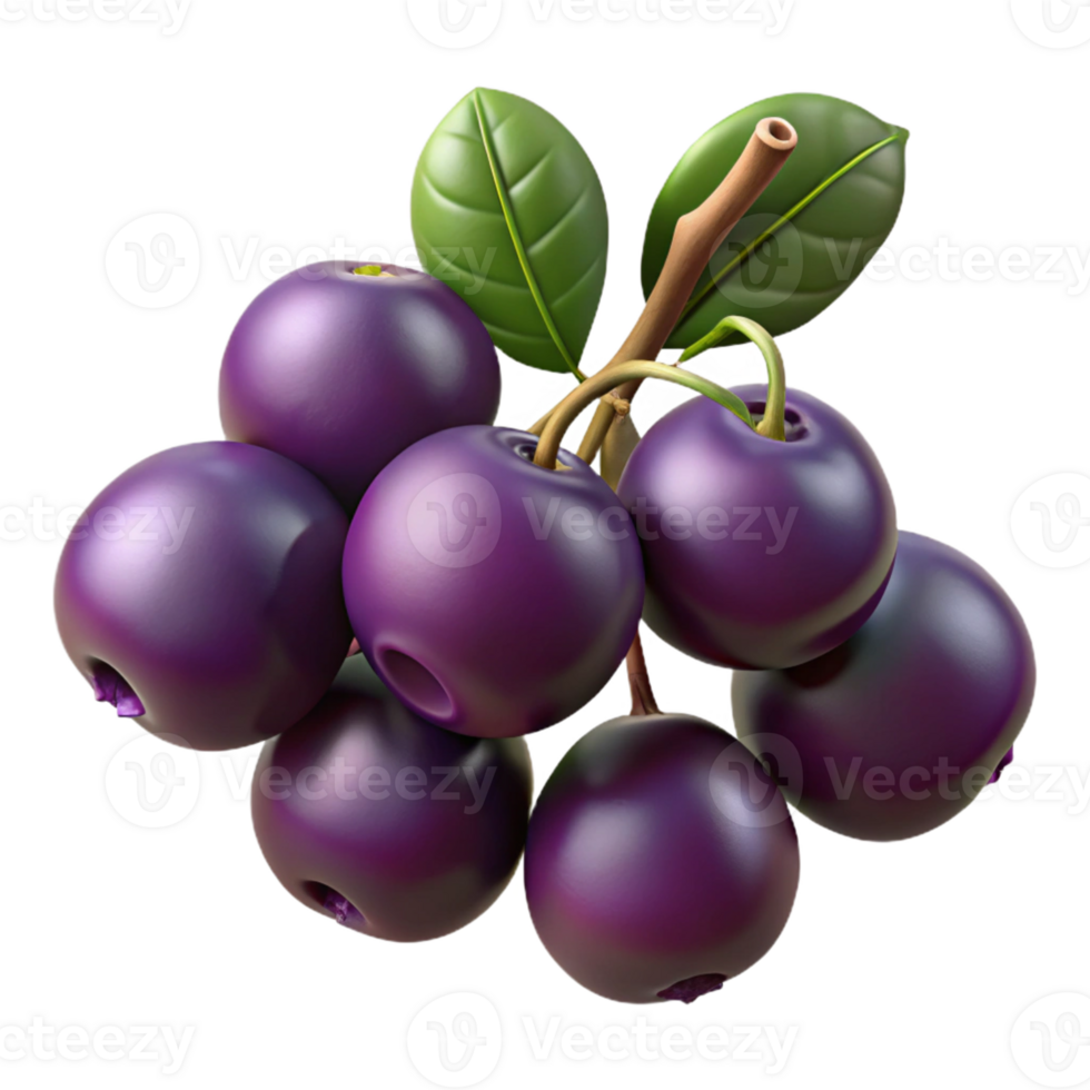 3D Render of Dark Purple Berries on Branch png