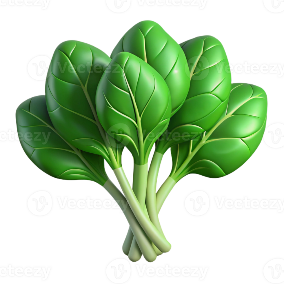 3D Render Green Leafy Vegetable Illustration png