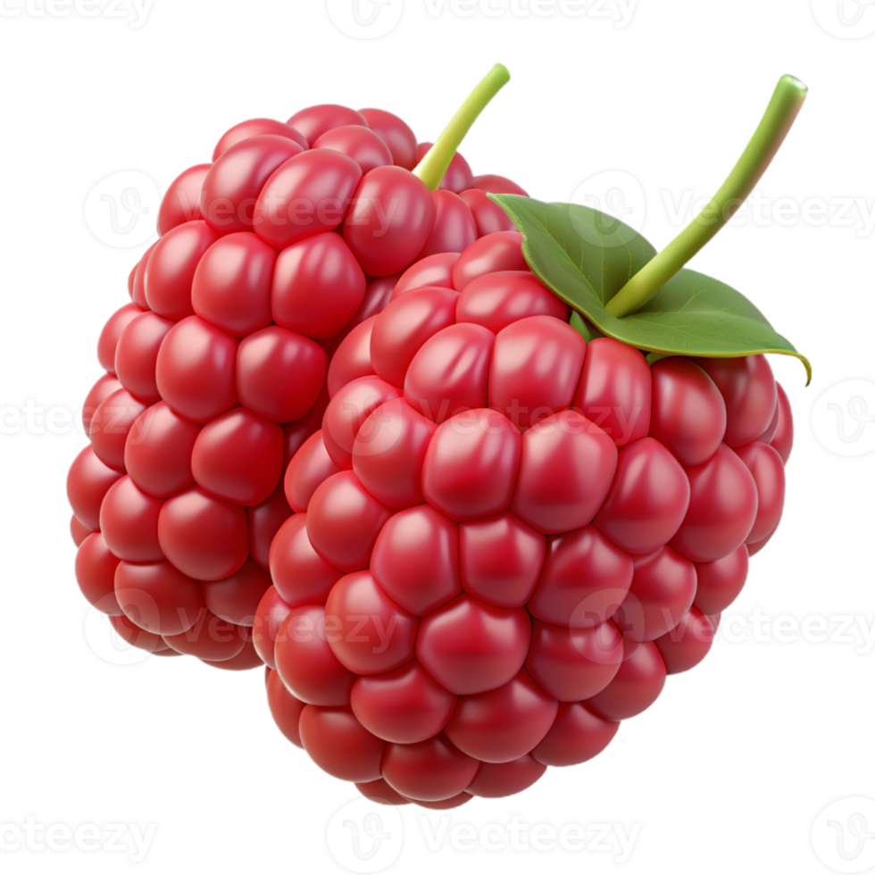 3D Render of Raspberries png