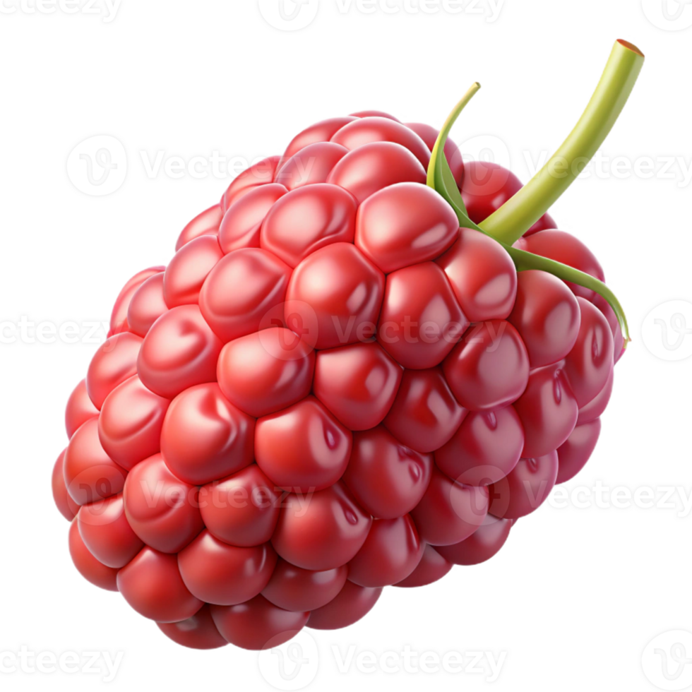 3D Render of a Single Raspberry png