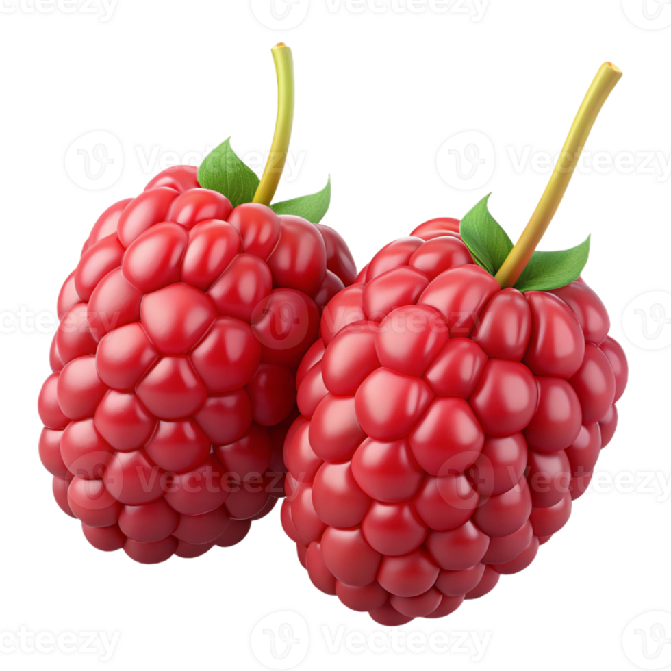 3D Render of Two Raspberries png