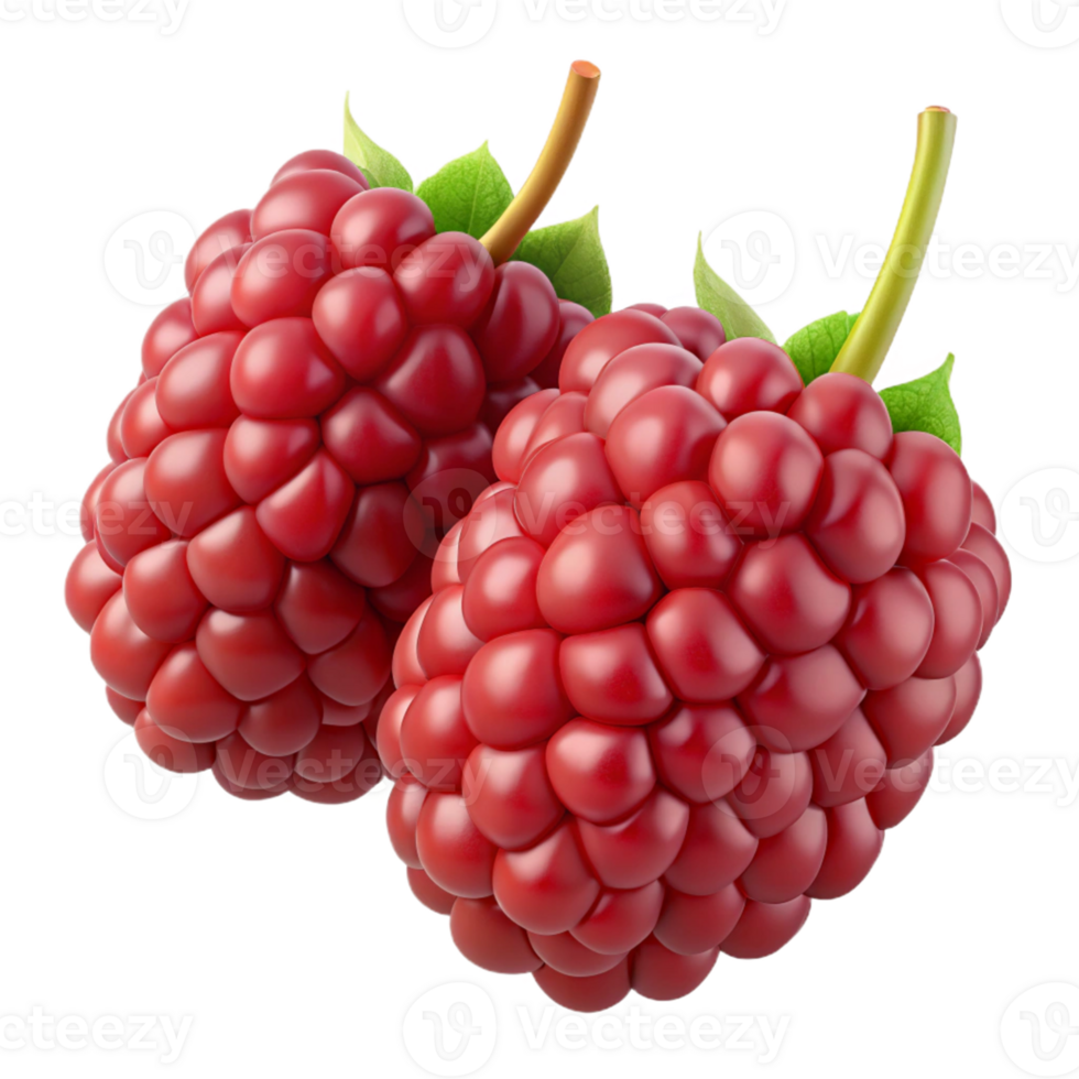 3D Render of Two Raspberries png