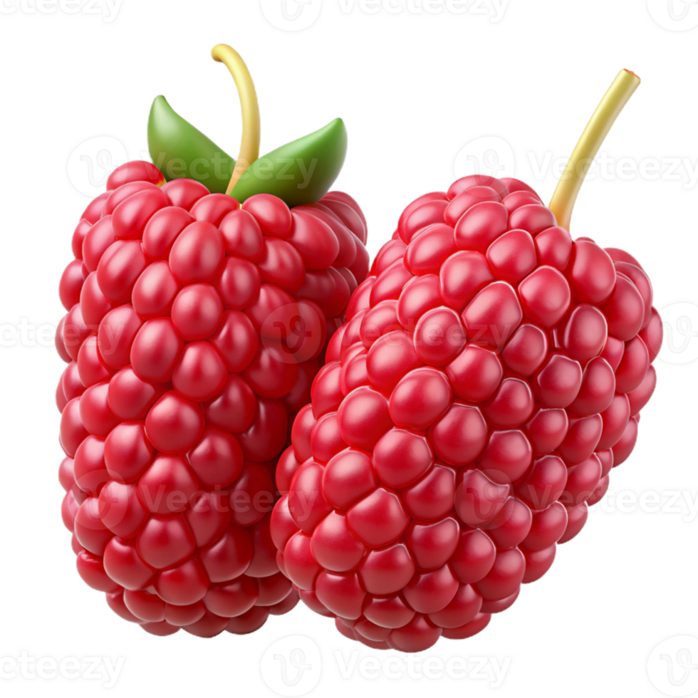 3D Render of Two Raspberries png