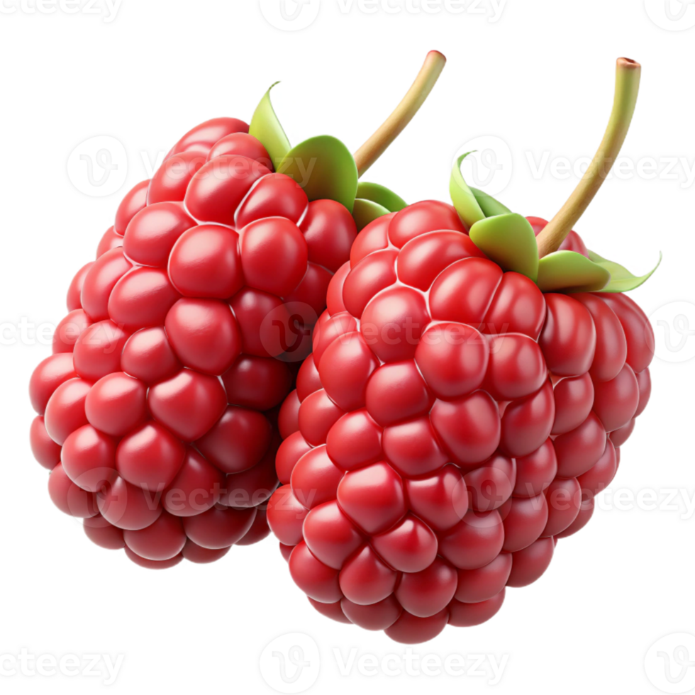 3D Render of Two Raspberries png