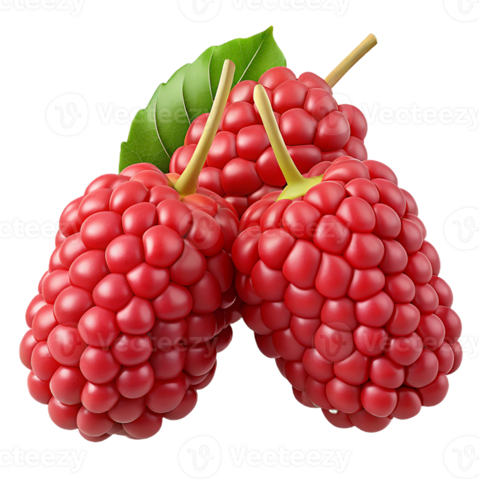 3D Render Red Raspberries with Leaves png