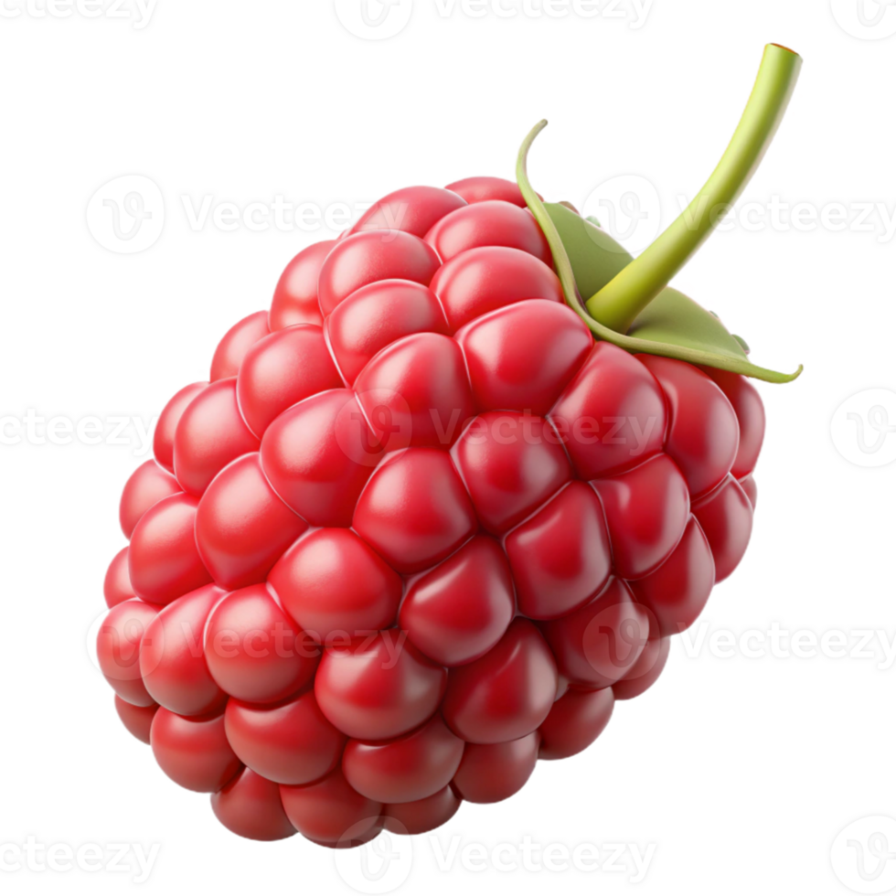 3D Render Raspberry Fruit Illustration png
