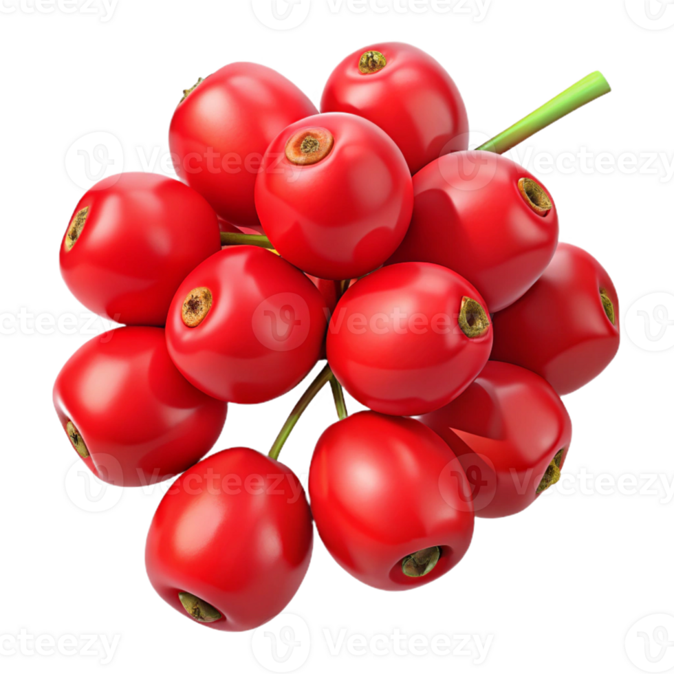 3D Render Red Berries Bunch Illustration png