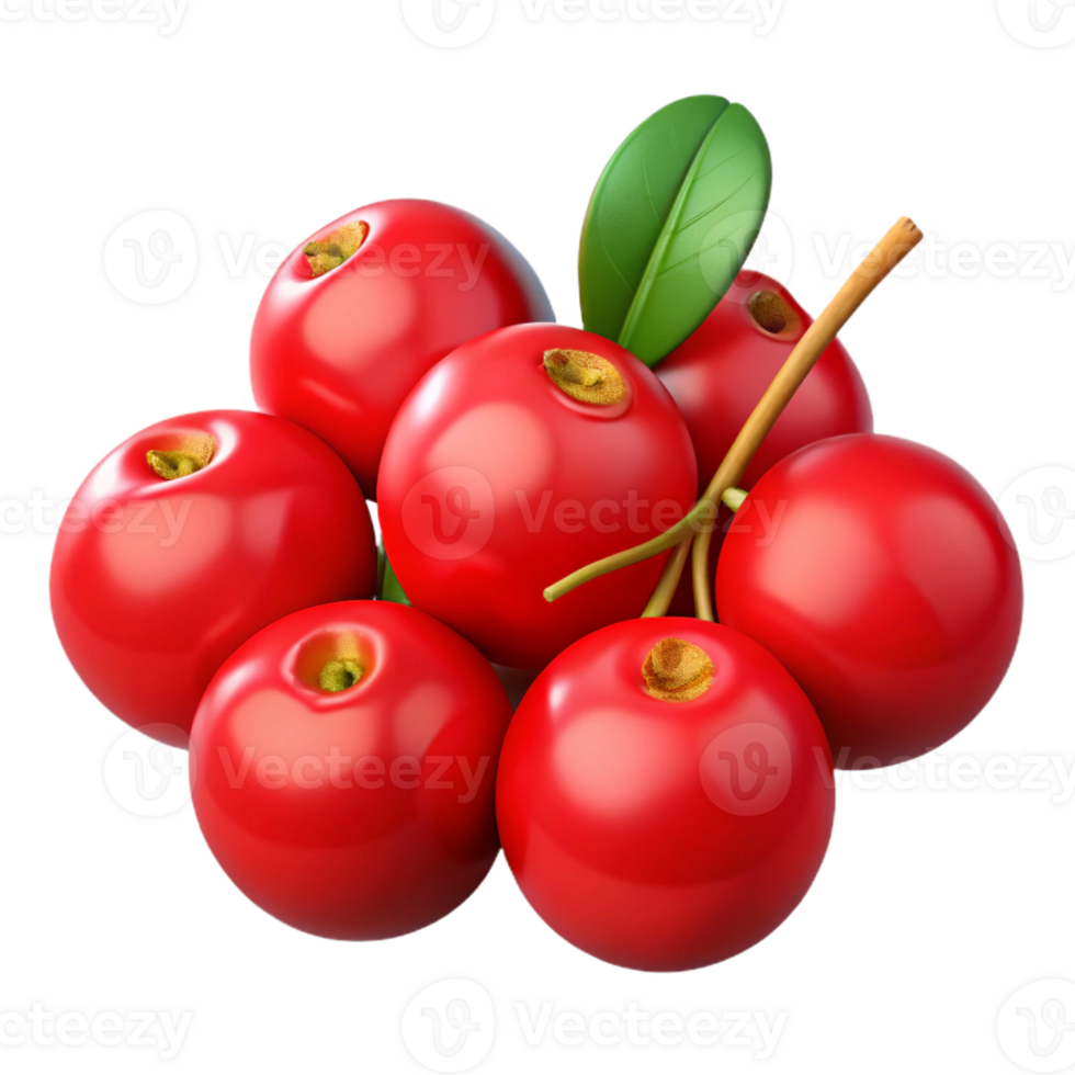 3D Render of Red Cranberries png