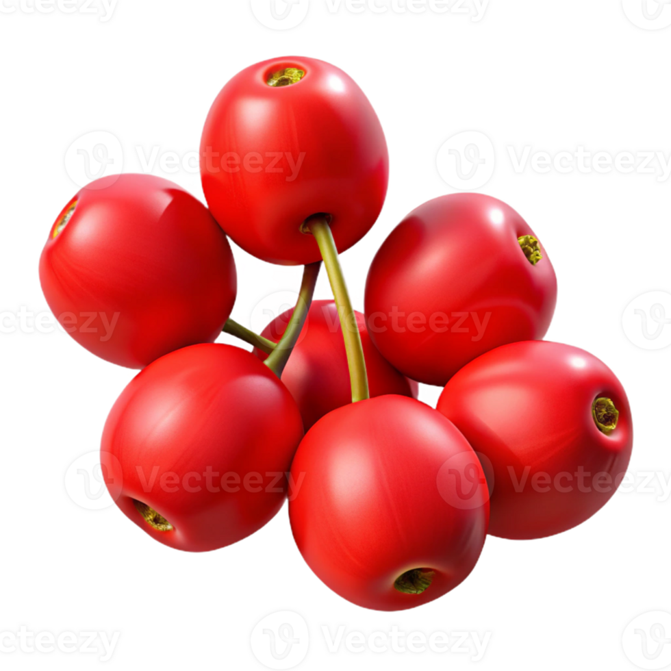 Red Cherries 3D Illustration png