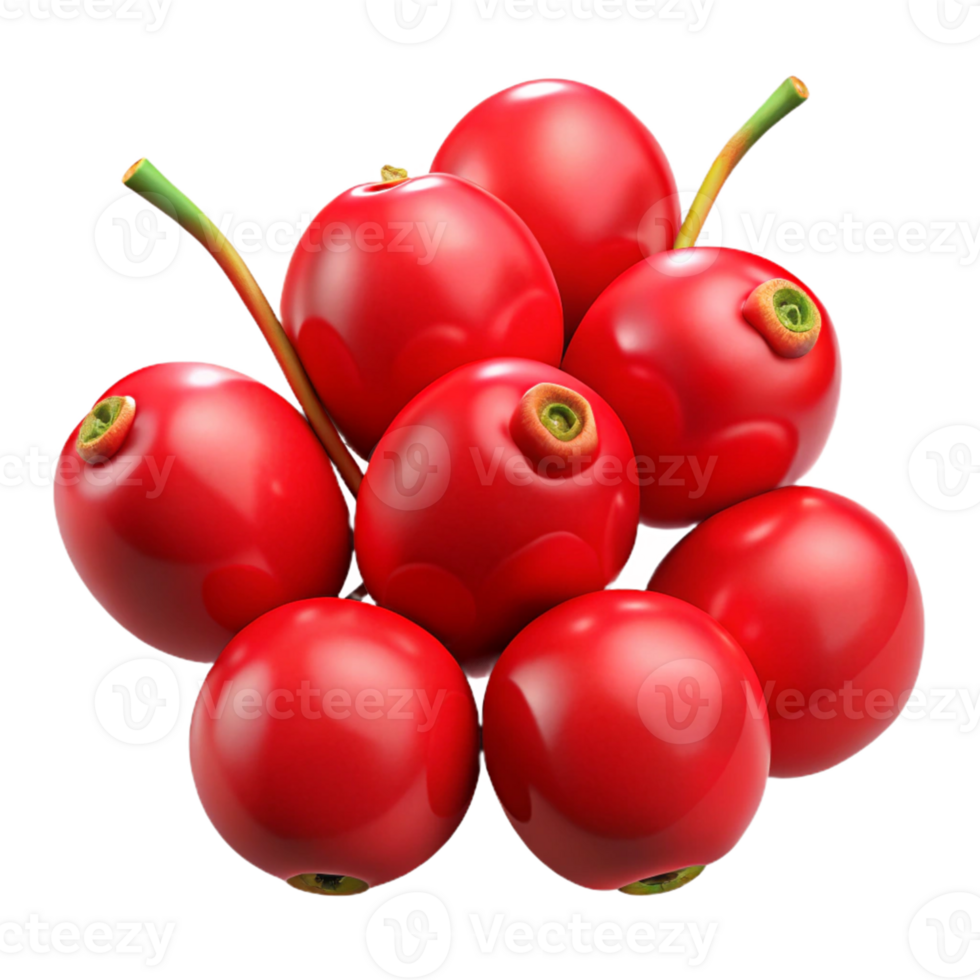 Red Berries 3D Illustration png