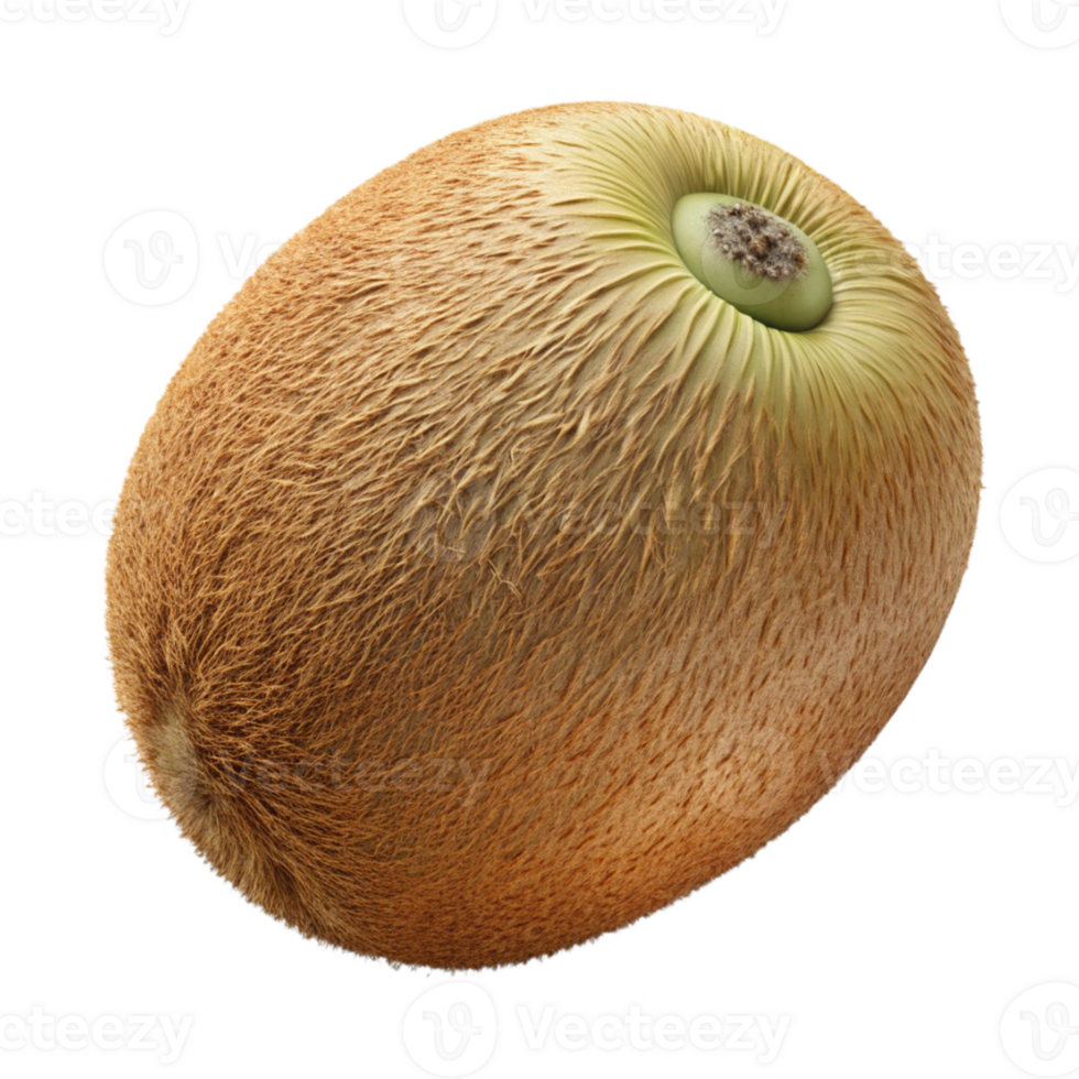 Realistic 3D Render of a Fuzzy Brown Kiwi Fruit png