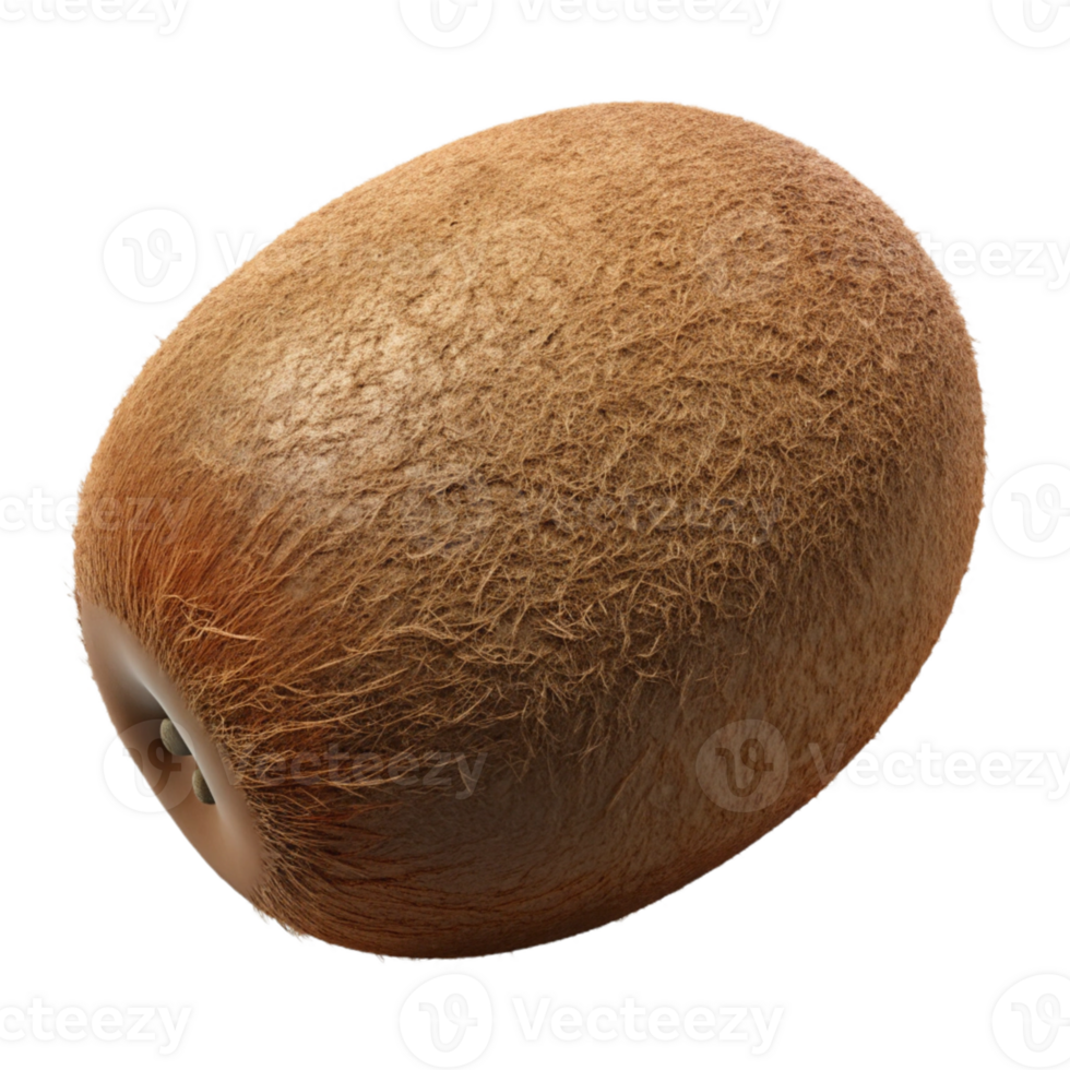 3D Render of a Fuzzy Brown Kiwi Fruit png