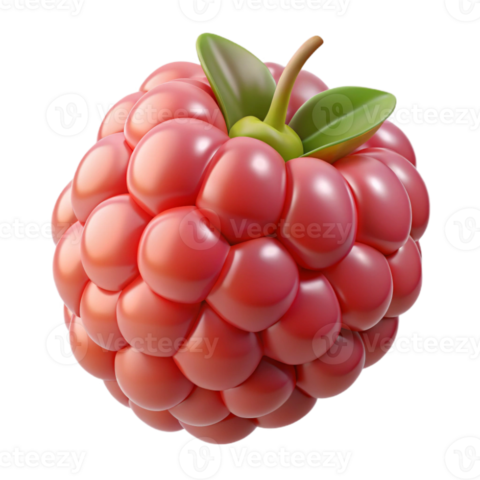 3D Render of a Single Raspberry png