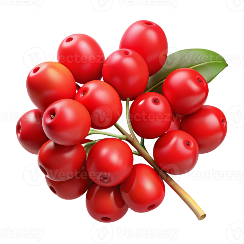 Vibrant Red Berries Illustration png