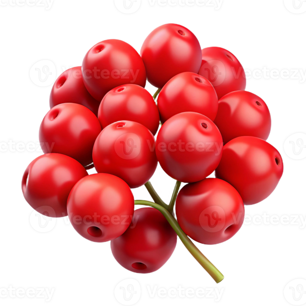 Red Berries 3D Illustration png