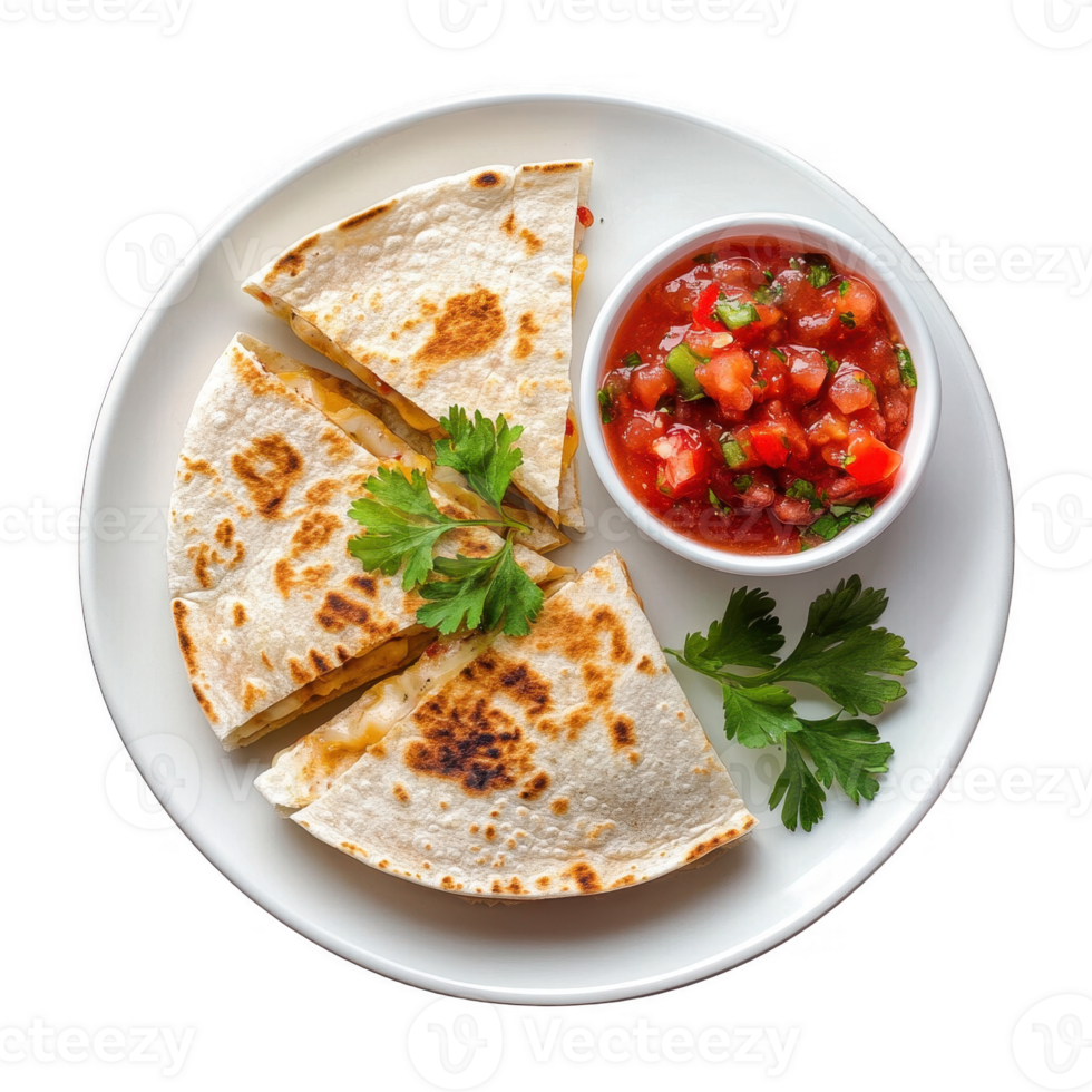 Delicious quesadilla served with fresh salsa and garnished with coriander. png