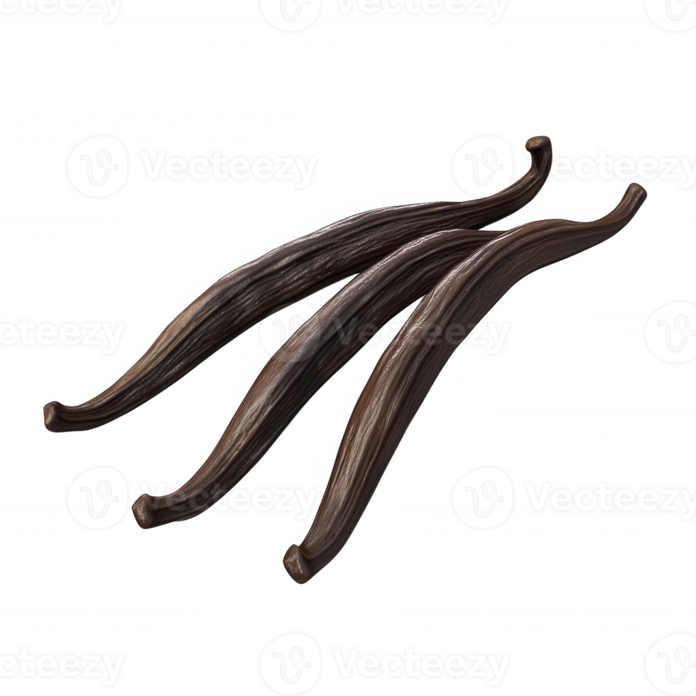 Three aromatic vanilla pods isolated on a clean background. png
