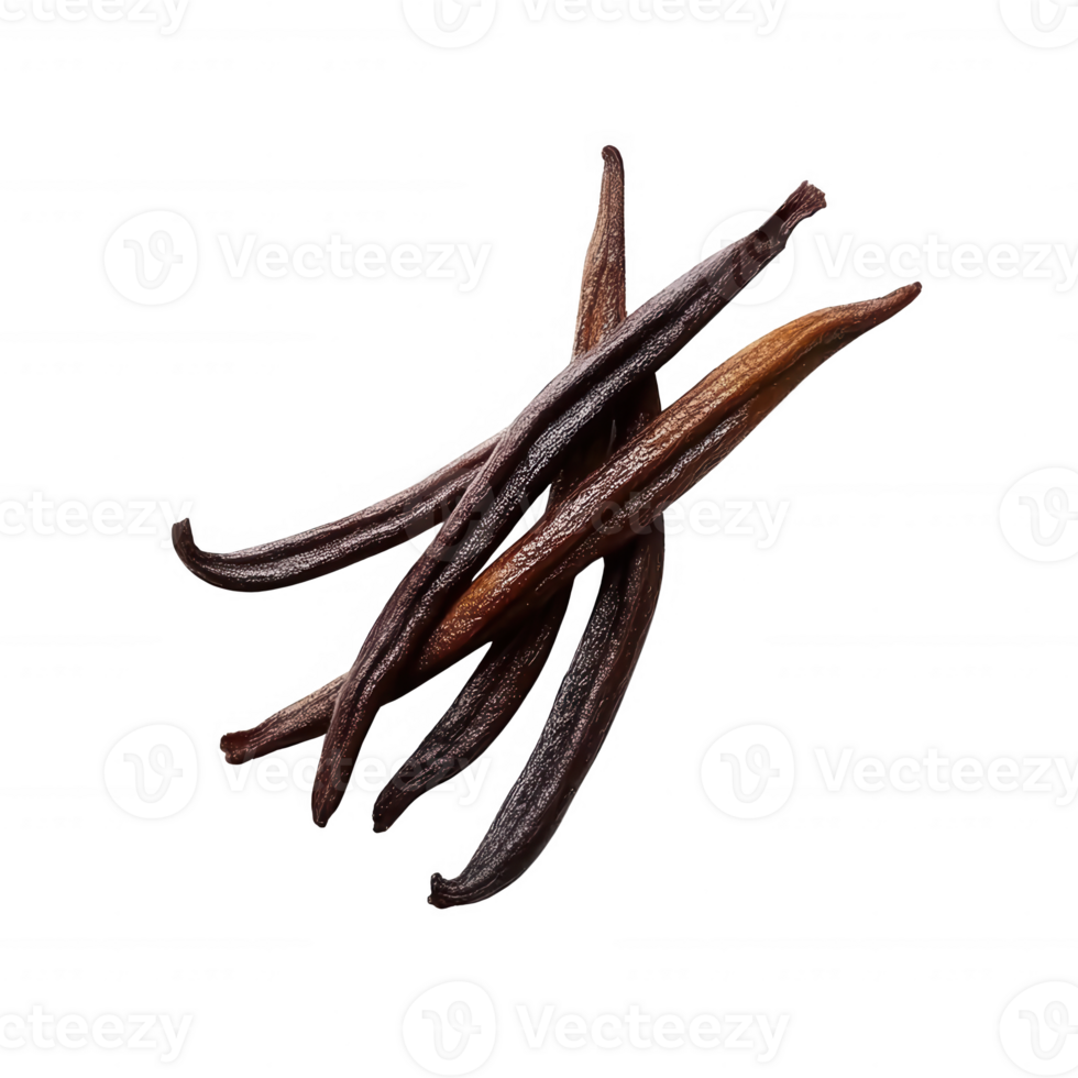 Fresh vanilla pods showcasing rich color and fine texture for culinary delights. png