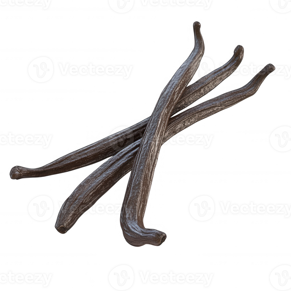 Three dark vanilla pods arranged on a white background for culinary use and flavoring. png