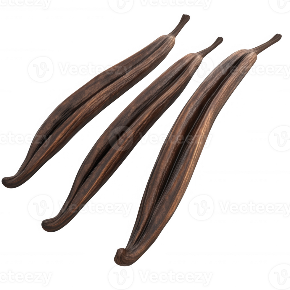 Three aromatic vanilla beans with rich, dark color and unique texture. png