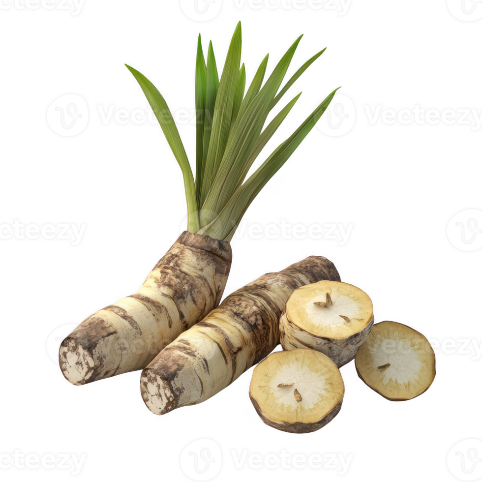 Fresh horseradish root with green leaves and sliced pieces on a white background. png