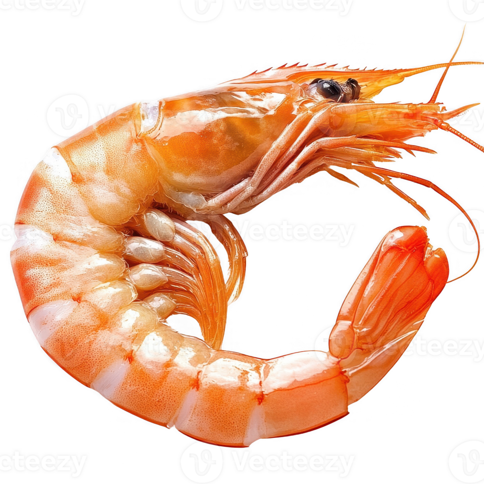 Fresh, succulent shrimp with vibrant colors, perfect for seafood dishes and recipes. png