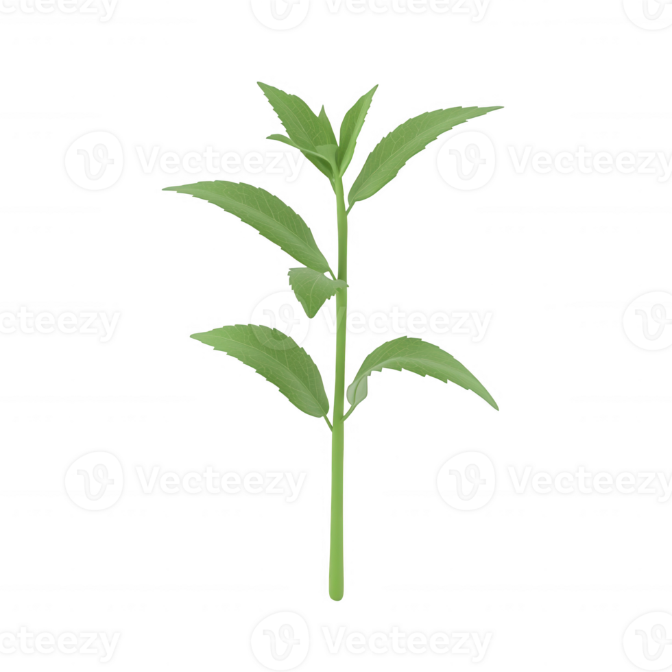 A vibrant green plant with fresh leaves, ideal for nature-themed designs. png