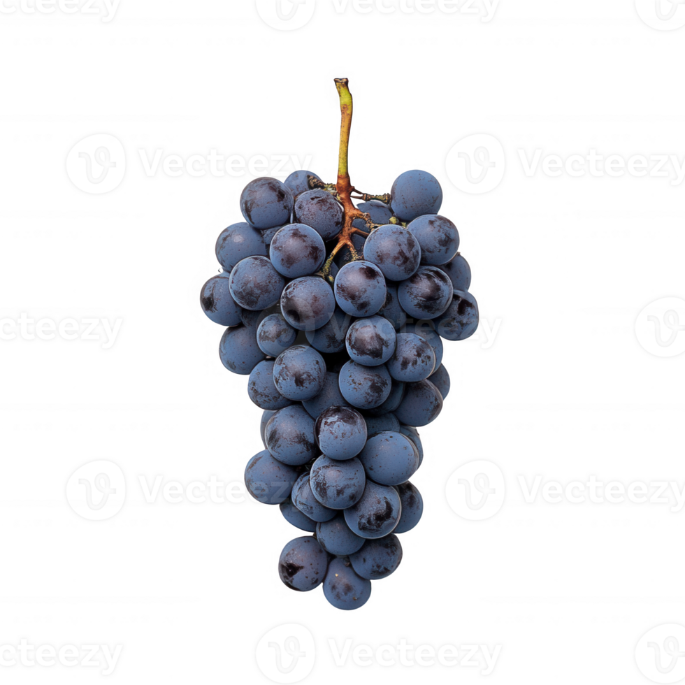 A fresh bunch of ripe grapes showcasing their vibrant color and juicy texture. png