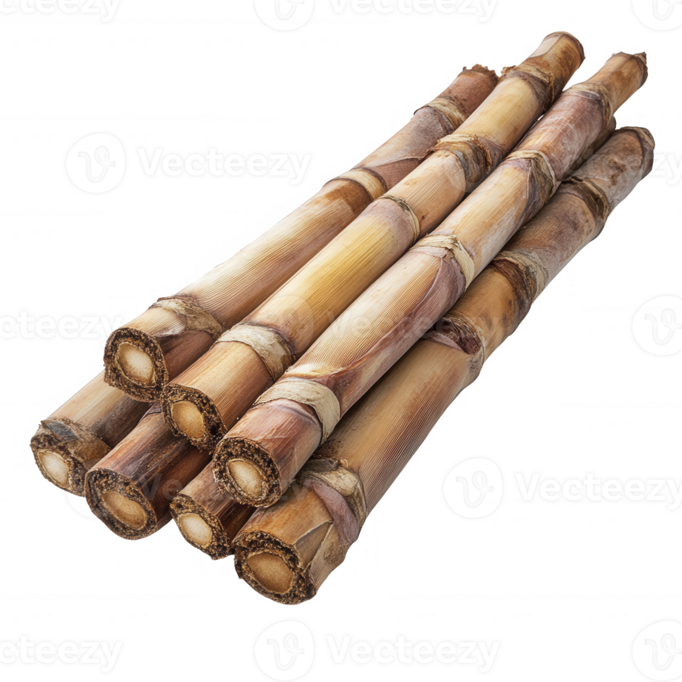 A bundle of fresh sugarcane stalks displayed on a clean surface. png