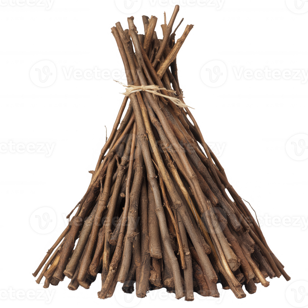 A bundle of neatly tied sticks, perfect for crafts and nature-inspired projects. png