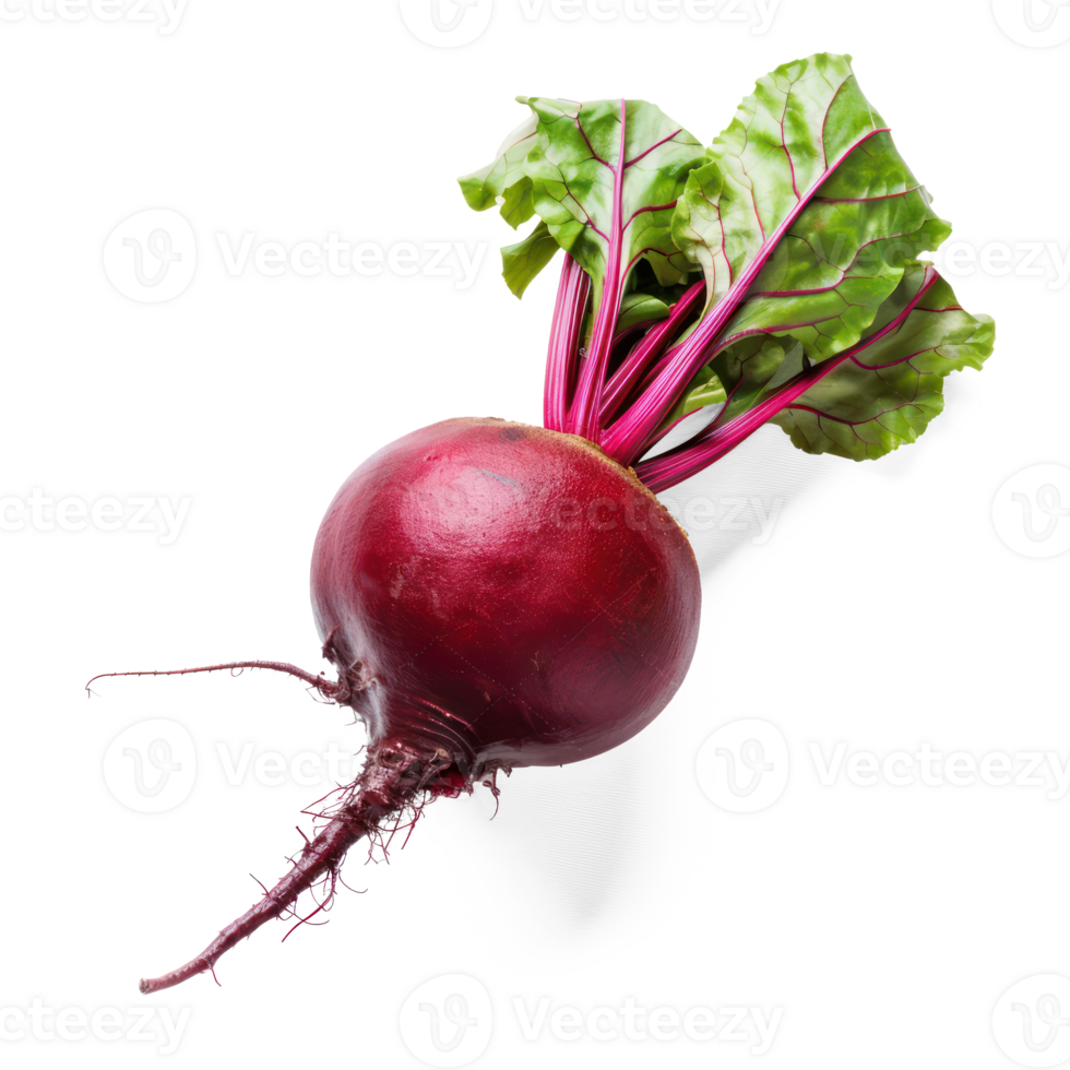 beet on a transparent background png