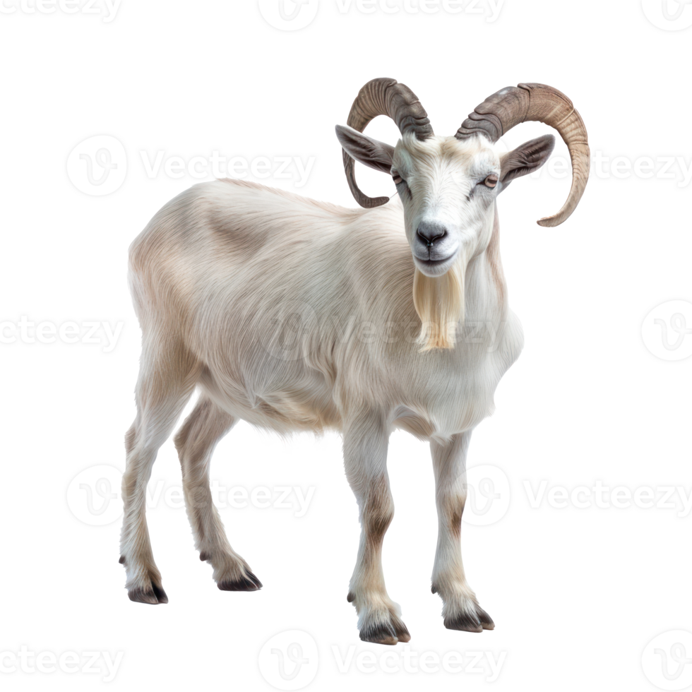 a goat with horns on a transparent background png