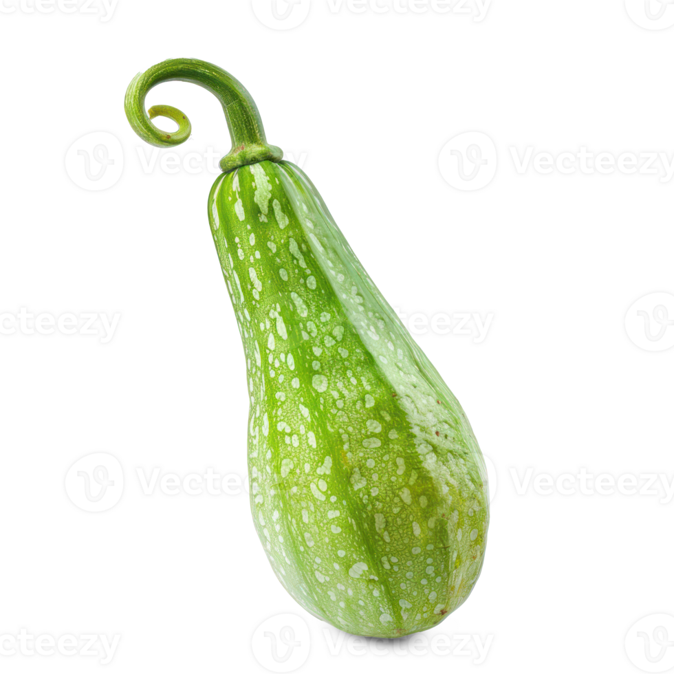 green squash on a transparent background png