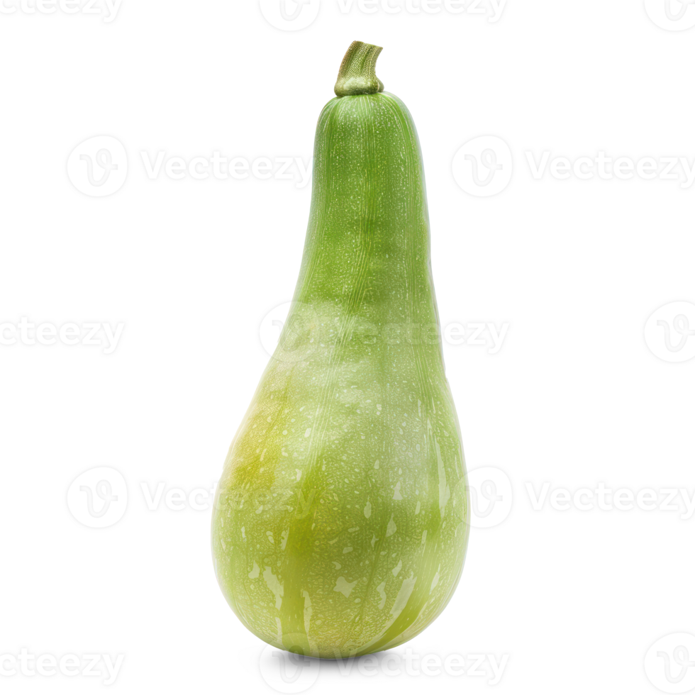 a single green squash on a transparent background png