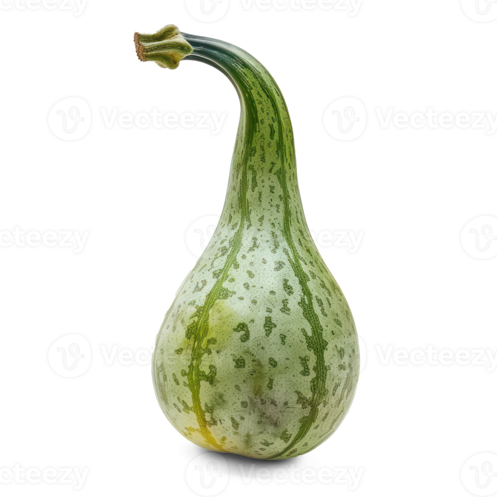 a green gourd on a transparent background png