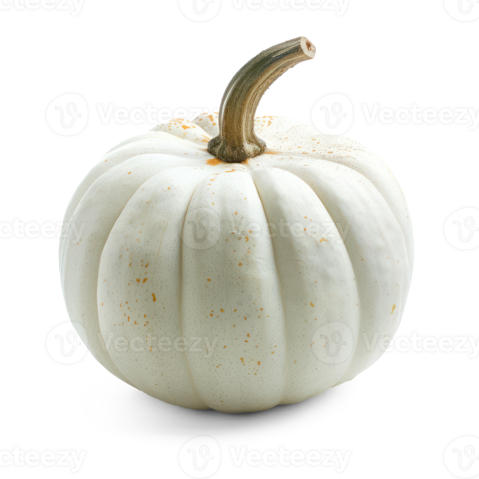 a white pumpkin on a transparent background png