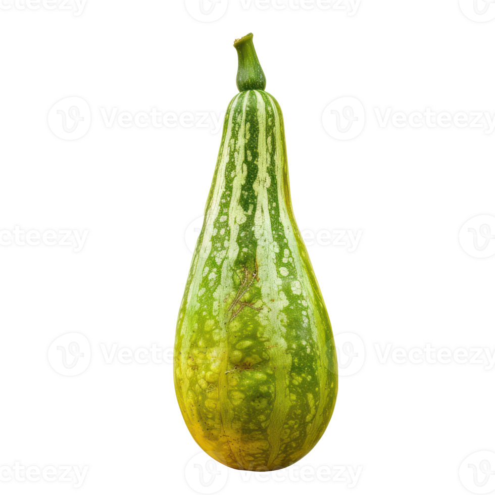 a green squash on a transparent background png