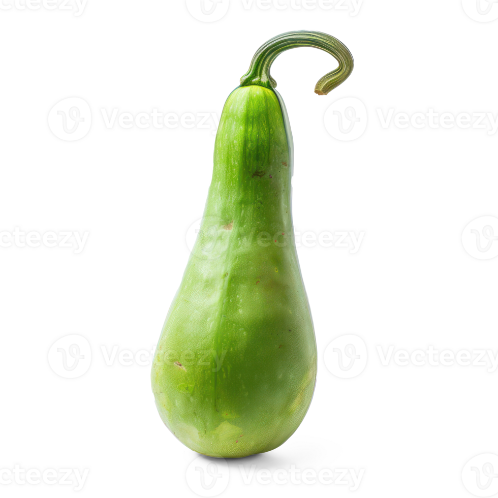 green eggplant on transparent background png