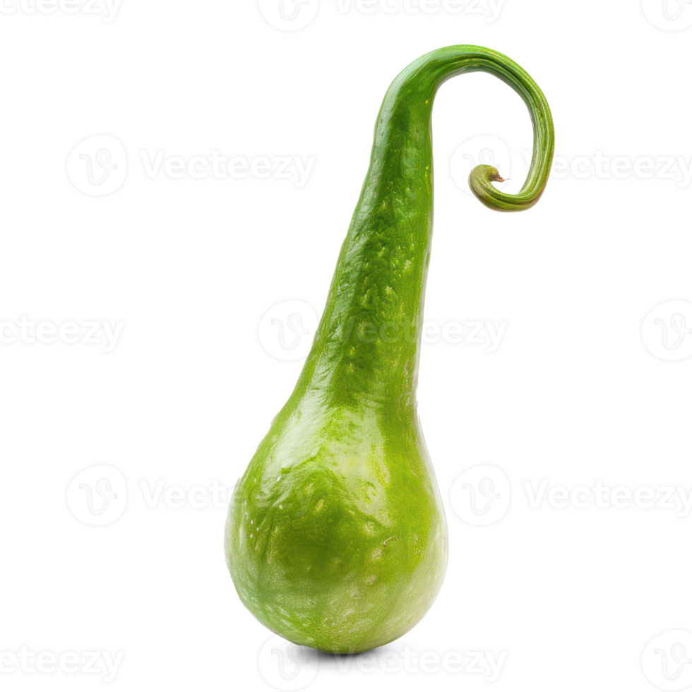 green gourd on transparent background png