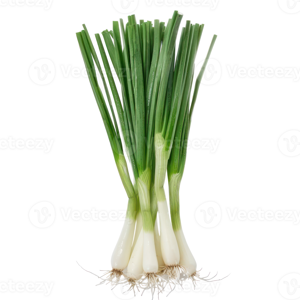 green onions on a transparent background png