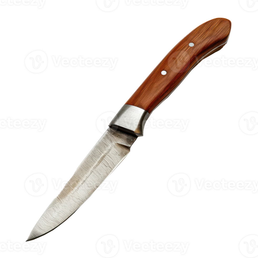 Paring Knife front view full length isolate on transparent background png