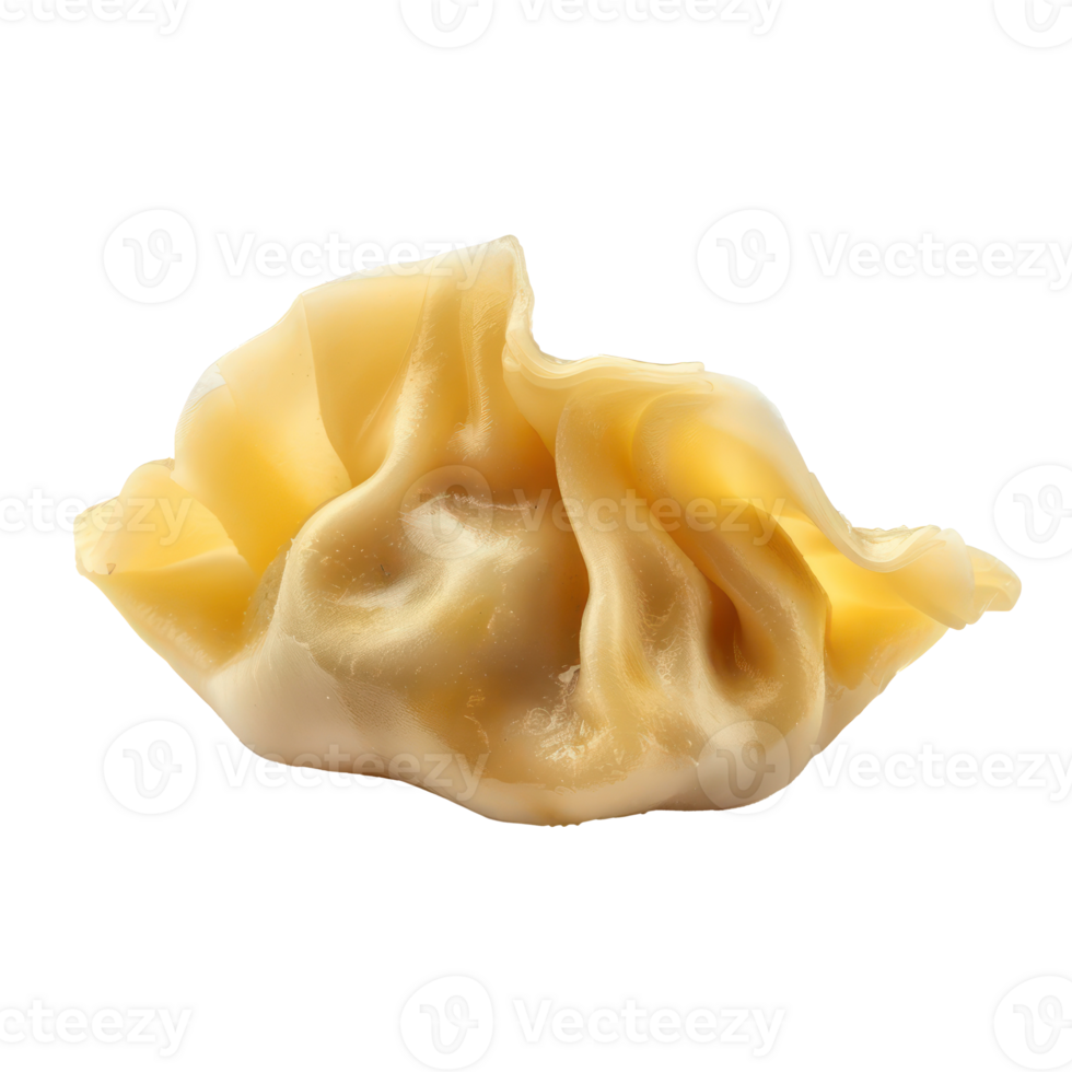 a dumpling on a transparent background png
